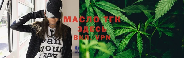 мет Дмитров
