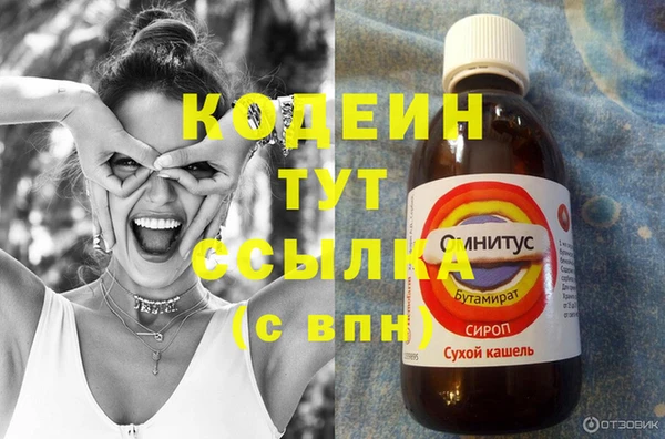 стаф Гусь-Хрустальный