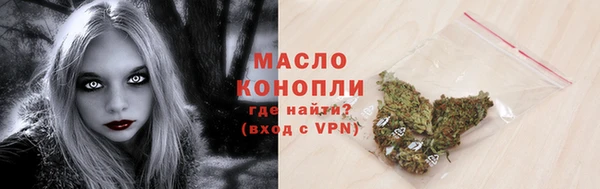 мет Дмитров