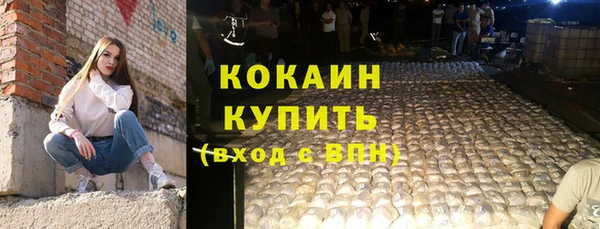 стаф Гусь-Хрустальный