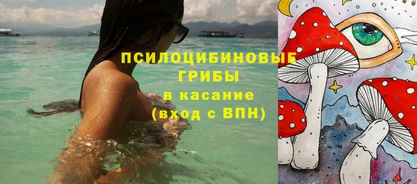 мет Дмитров