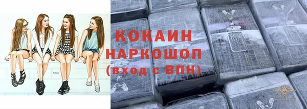 скорость Гусев