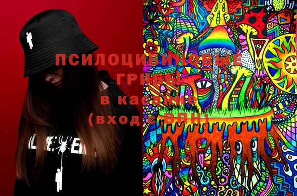 скорость Гусев